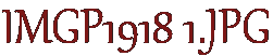 IMGP1918 1.JPG