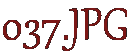 037.JPG