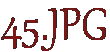 45.JPG