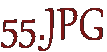 55.JPG