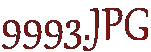 9993.JPG