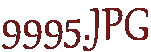 9995.JPG